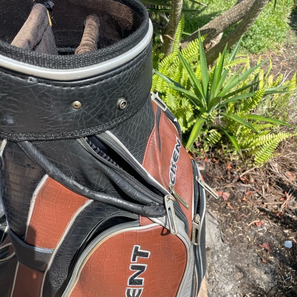 Nickcent Golf Staff Bag with original rain cover - Picture 12 of 13
